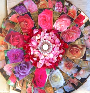 Rose Class 1 – The Rose Healing Grid – Rose Alchemy