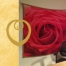 Office Feng Shui
