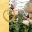 stop and smell the roses
