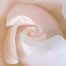 The Cosmic Roses - Rose Alchemy Class